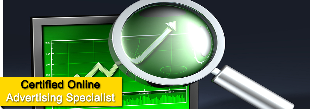 Certified Adwords Specialist