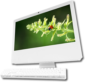 Web Design with Functions